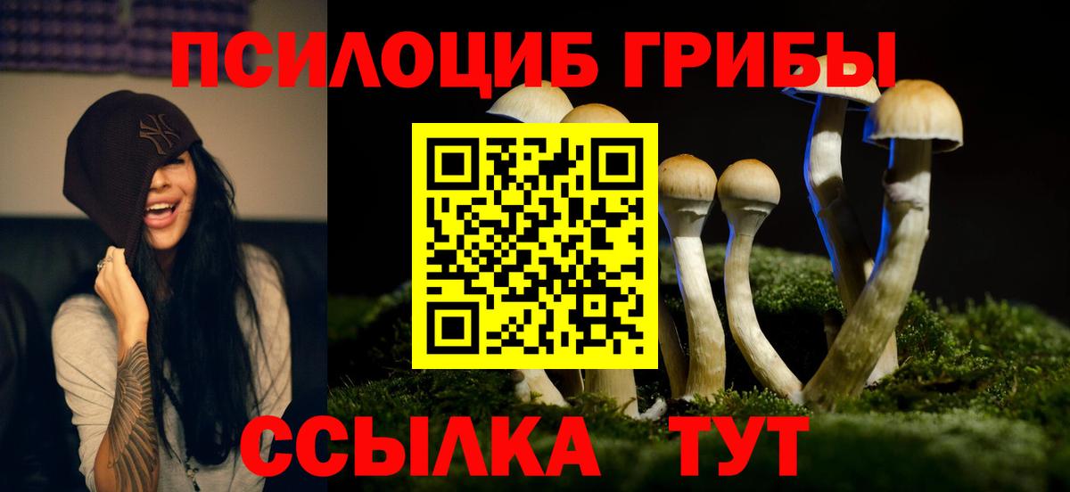 Хасавюрт  Галлюциногенные грибы Psilocybine cubensis  Вход с VPN 