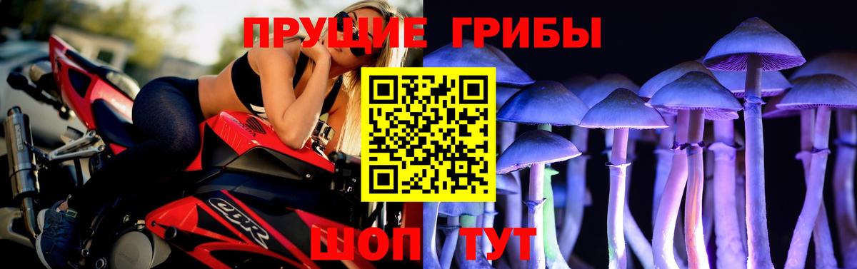 Галлюциногенные грибы мицелий Хасавюрт